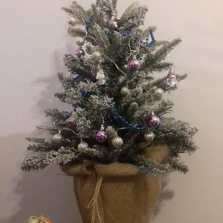 Karmazynowy Nad Morzem